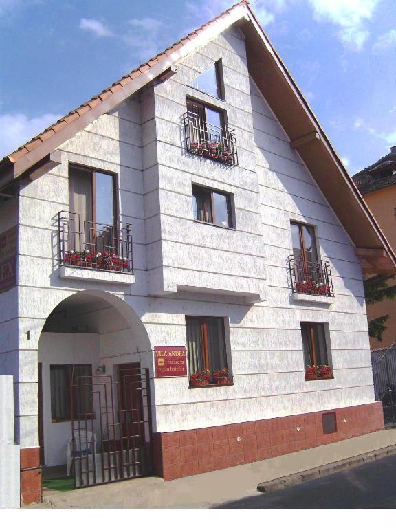 Pension Vila Andra Nagyszeben Kültér fotó