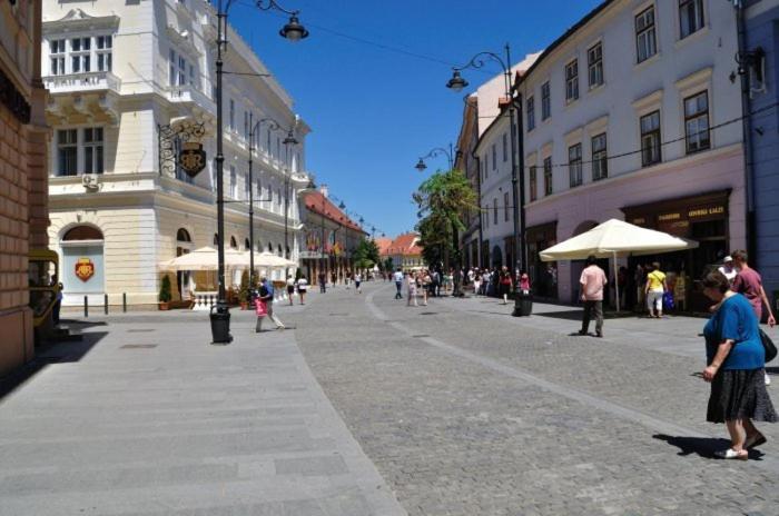 Pension Vila Andra Nagyszeben Kültér fotó